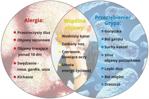 Read more about the article Jak rozpoznać alergię? Przeziębienie czy alergia